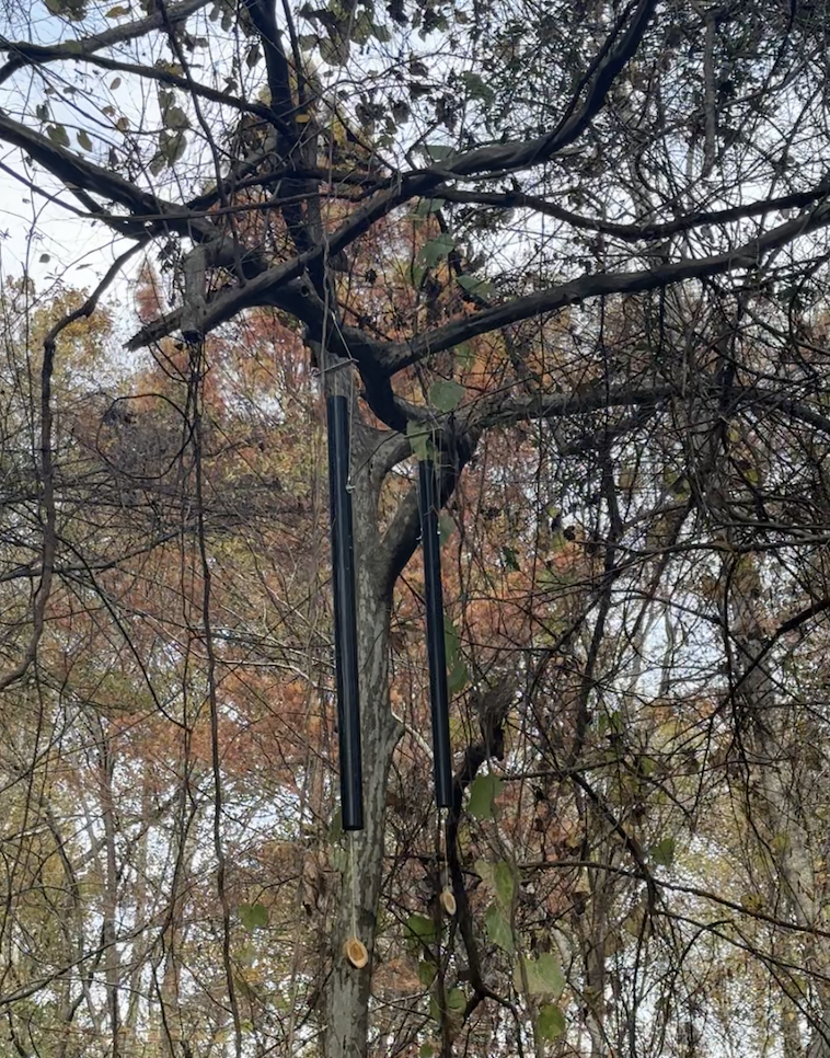 Tree Tones: Shelby Canopy