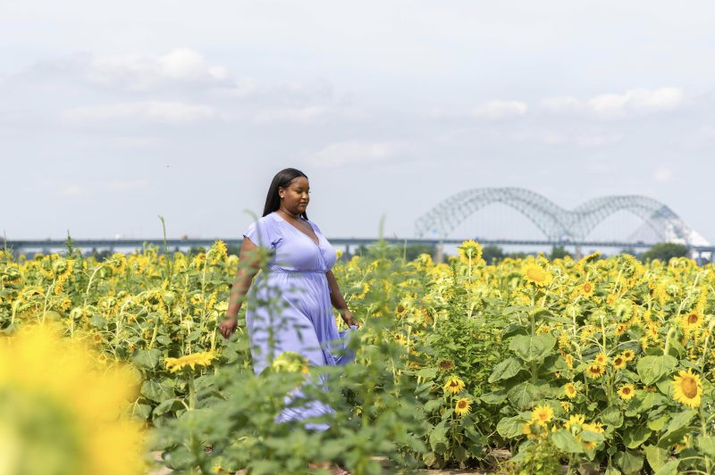 woman walks through sunflowers with memphis bridge in background
