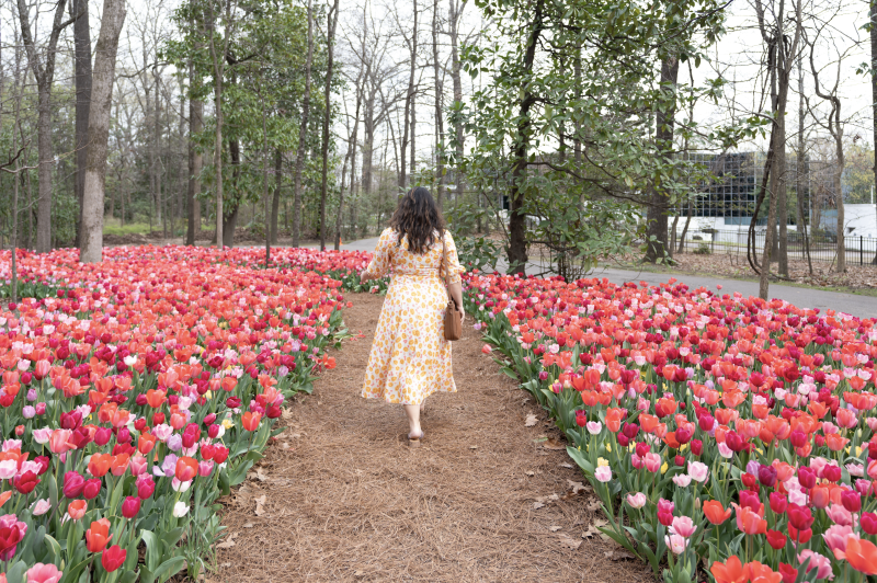 woman walks through tulips