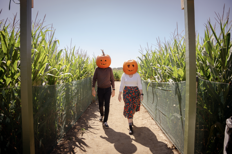 two people with pumpkin heads walk through maze