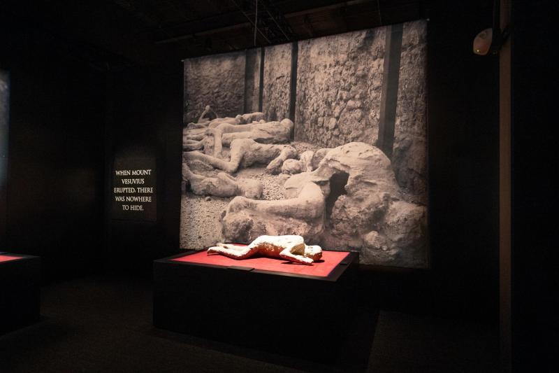 Pompeii the exhibition body cast