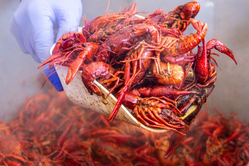 a big scoop of crawfish