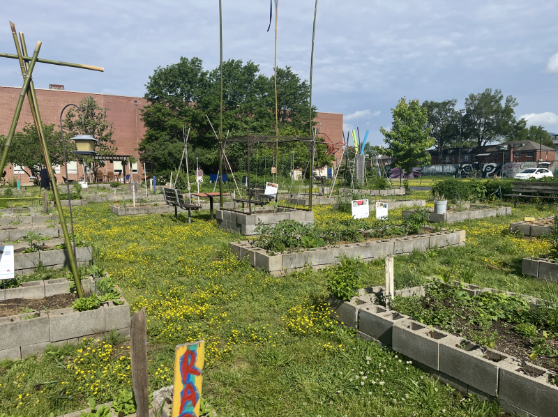garden separated by cement barriers