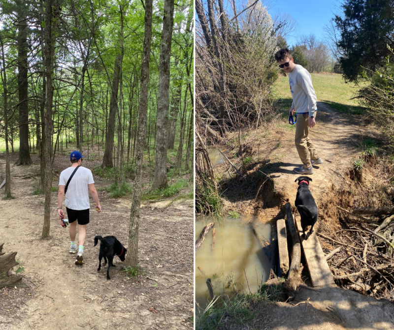 two photos of a man and dog walking through woods and across plan at dog park
