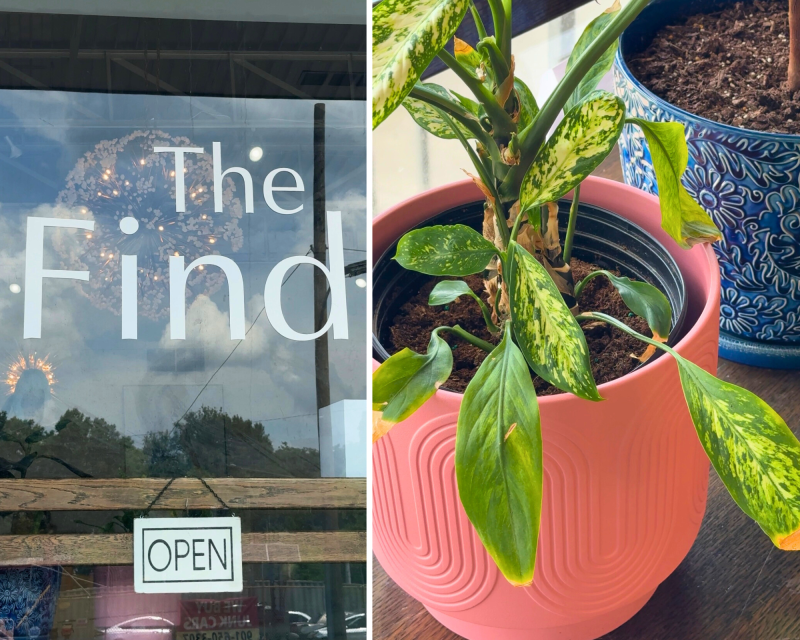 two images side by side: photo one is exterior sign &quot;The Find&quot; with open sign. Photo 2: up close of red plant plot with plant coming out of it