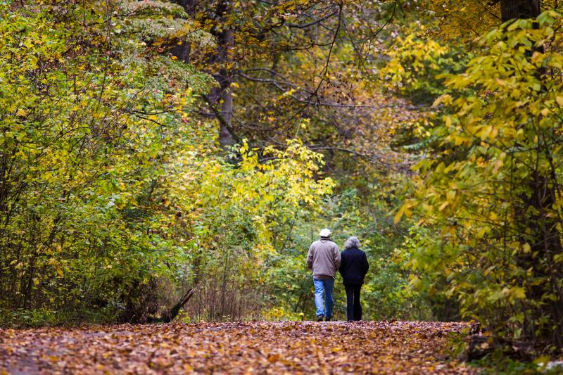 couple walks side by side down path covered in leaves