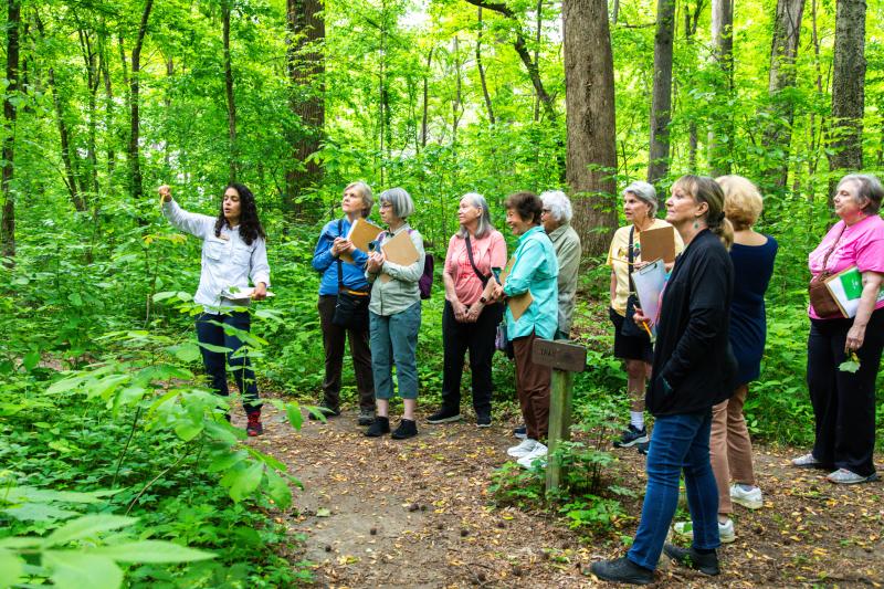 staff worker leads group of woman through forest pointing out plant