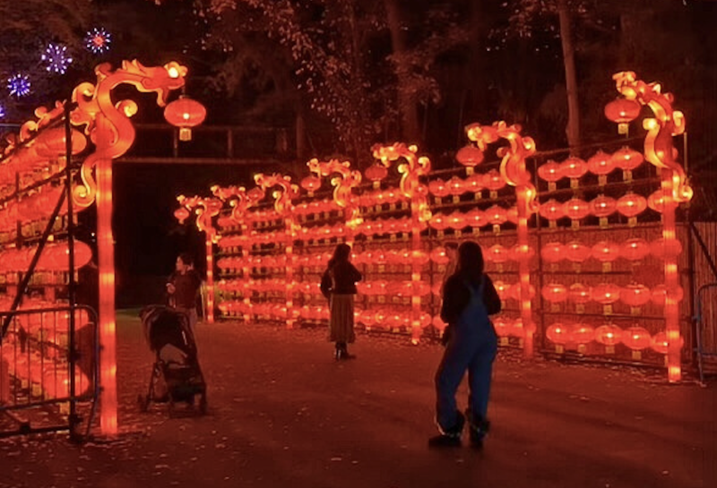 walkway line with layers of red lit up lanterns at Memphis Zoo Lantern Festival