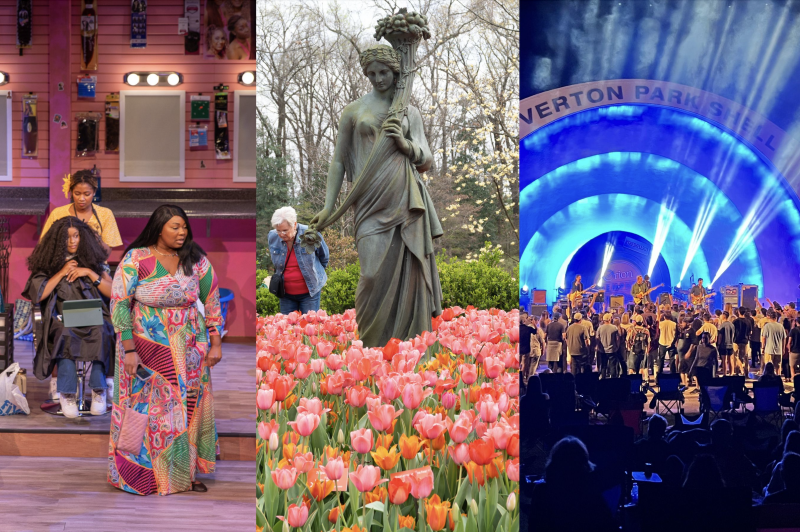 collage of milestones