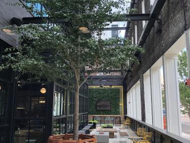 courtyard with brown tables, a tree, and blue sky visible through glass ceiling