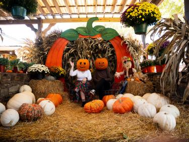 two people with pumpkin heads post with pumpkin photo op display