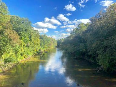Green trees lining Wolf River with blue skies and fluffy clouds
