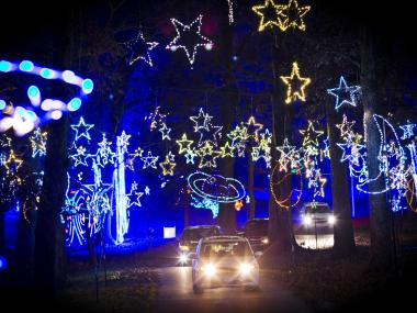 cars driving through blue and gold holiday lights at Shelby Farms at night