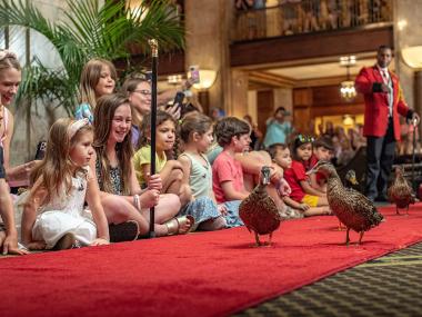 Duckmaster Kenon Walker with The Peabody Ducks during The Peabody Memphis hotel's daily duck march | The Peabody