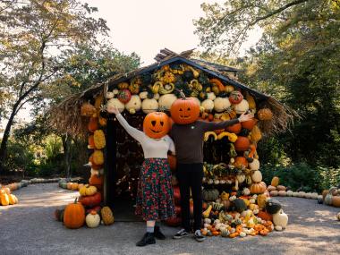 two people pose in front of a pumpkin house while wearing pumpkins on head