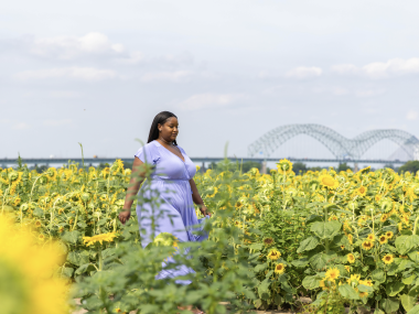 woman walks through sunflowers with memphis bridge in background