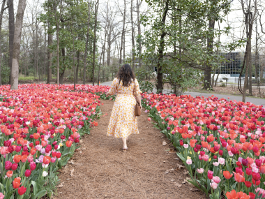 woman walks through tulips