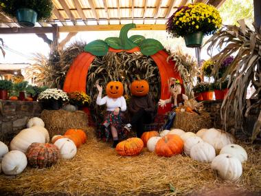Two people with pumpkin heads post with pumpkin photo op display in Memphis.