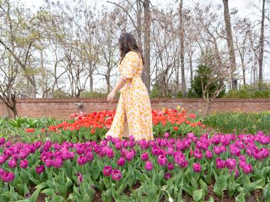 woman in flowy yellow dress walking through purple and orange flower field