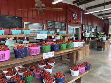 buckets of strawberries on display for sell at Jones Orchard market